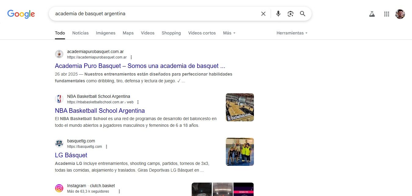 academia de basquet desarrollo web SEO academia puro basquet